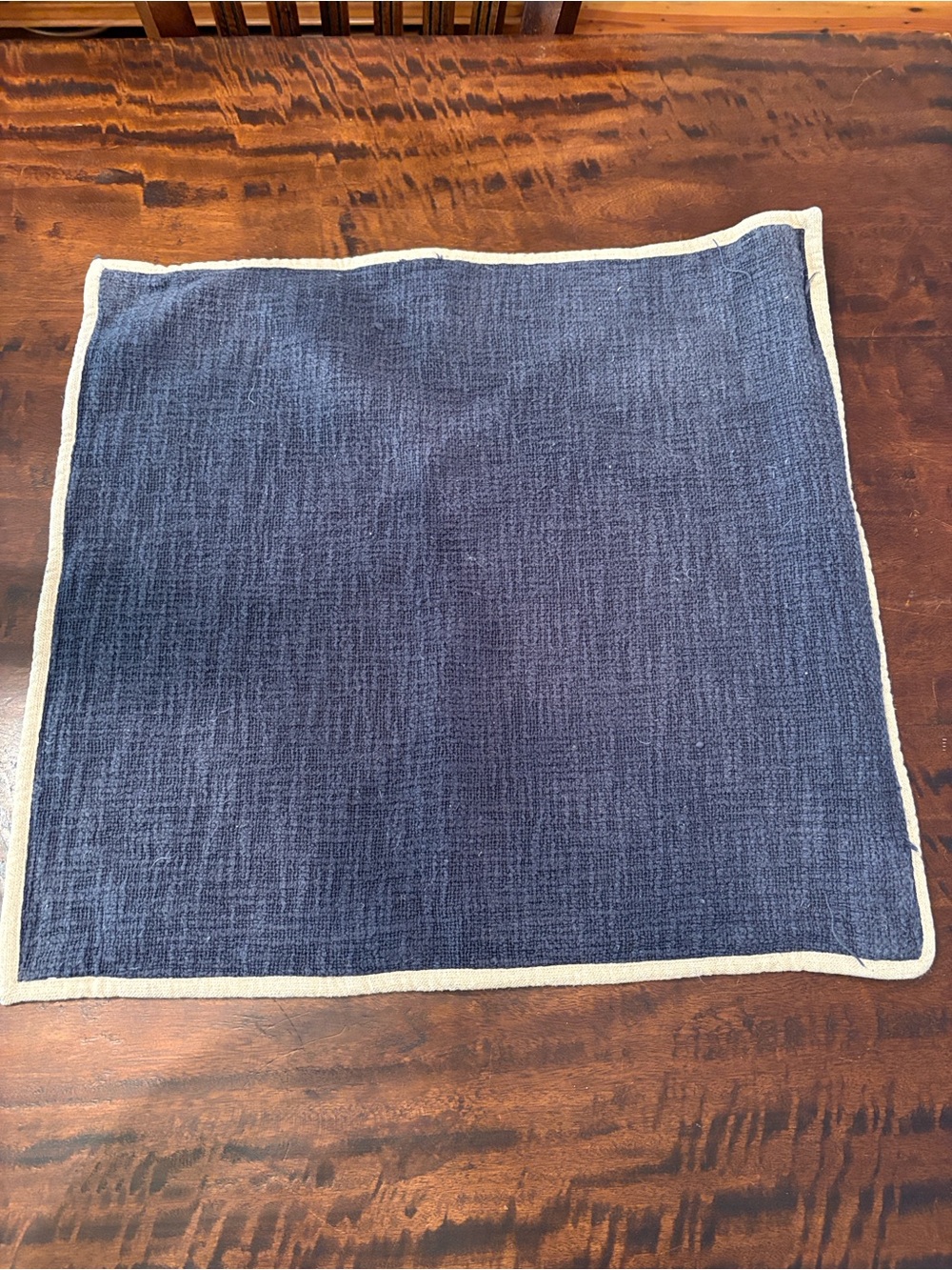 Pottery Barn Navy Accent Pillow Cover with Cream Border - Picture 3 of 7